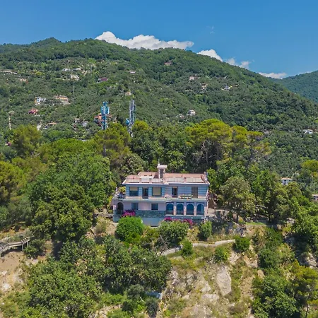 La Ginestra By Interhome Zoagli